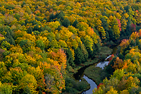 Autumn Forest, Foggy Bogs and Lake Superior Shoreline, Porcupine Mountains Wilderness State Park and Environs, Michigan